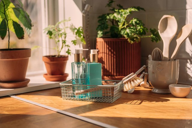 An image of everyday kitchen items like a cleaning dish brush and liquid detergent on a wooden counter