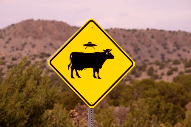 An image of a yellow no bull road sign