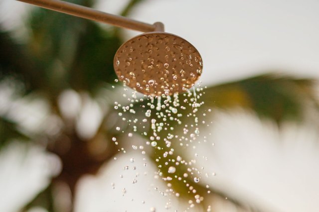 An image of a shower head with running water