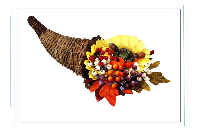 An image of a cornucopia filled with sunflowers, maple leaves, berries, pumpkins, and acorns