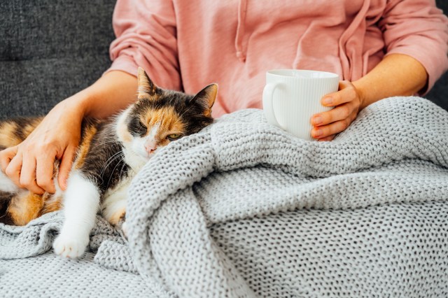 An image of a woman holding a white mug sitting on the couch with a blanket and a cat